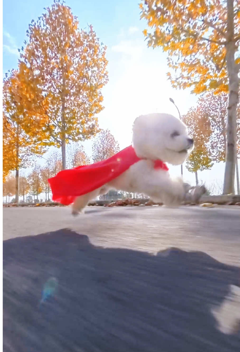 系上披风所向披靡