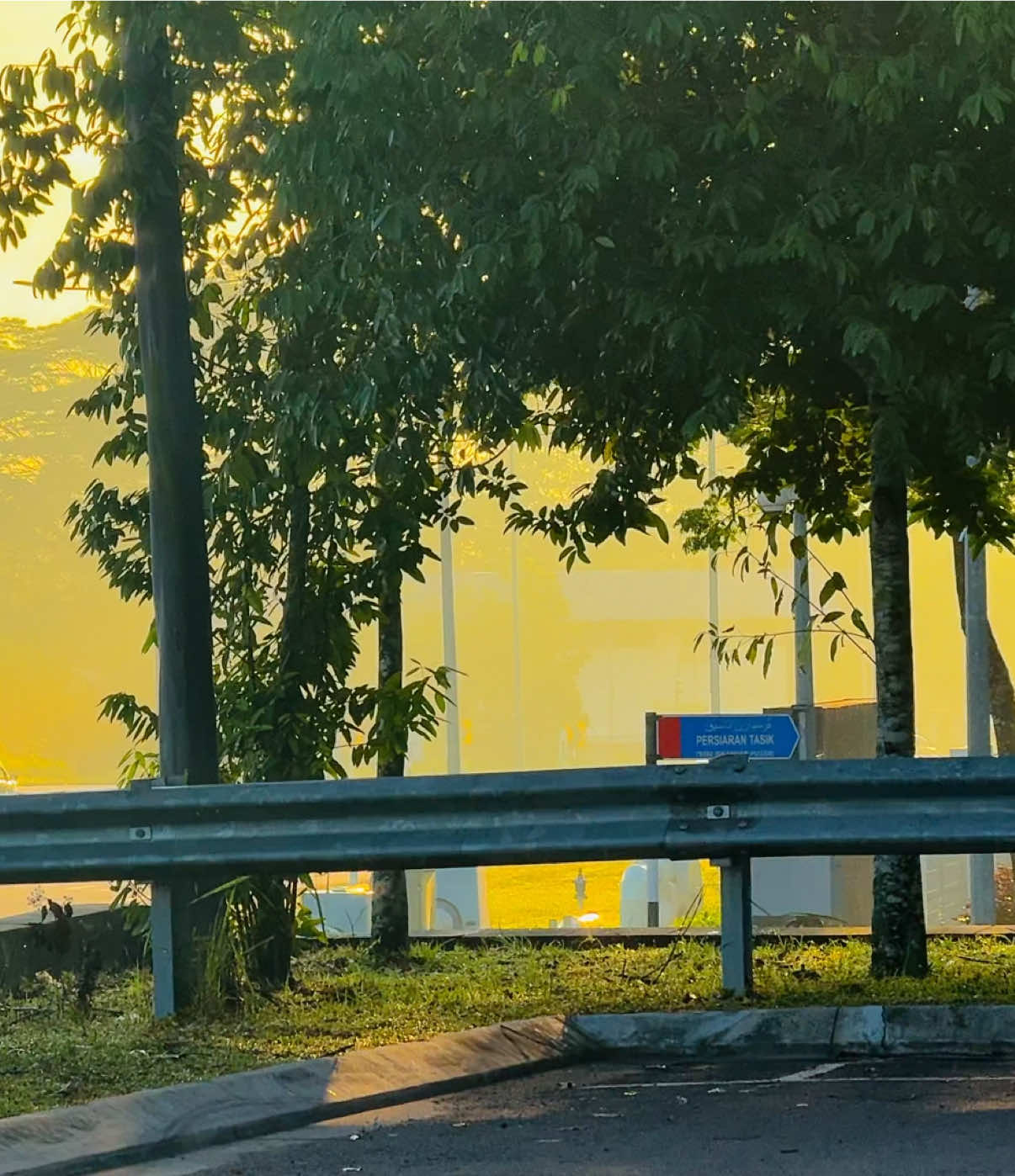 এই শহরটা সুন্দর হলেও, এই শহরের মানুষগুলো বহুরূপী… 🌆💔🎭 #nature #viralvideo #fyp #viral #tiktok @TikTok @tiktok creators @TikTok Bangladesh 