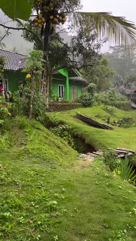 suasana rumah sore hari di hiasi rintikan hujan. syahdu. #keindahanalam #masukberanda #pesonaindonesia #alam #fyp 