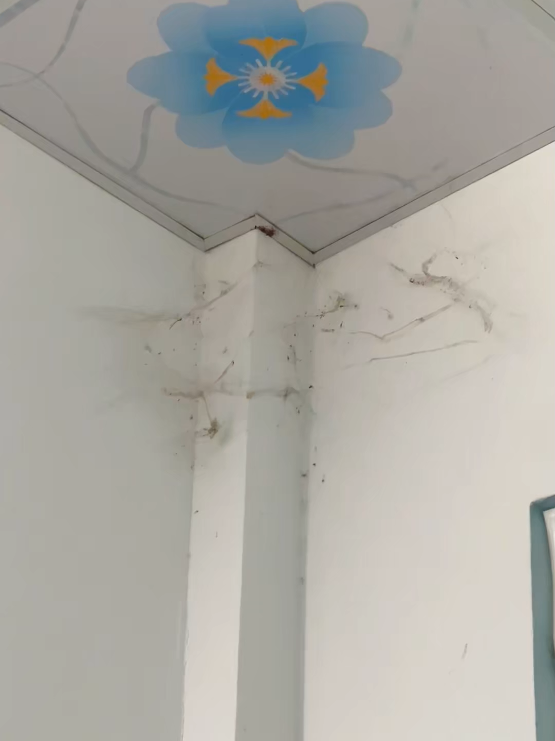 Chổi Quét Trần Nhà Cán Dài 2.8m Phất Trần Quét Bụi Mạng Nhện Trên Cao, Đầu Chổi Xoay Linh Hoạt. #choiquettran #choiquetmangnhen #giadungtienich #dogiadung