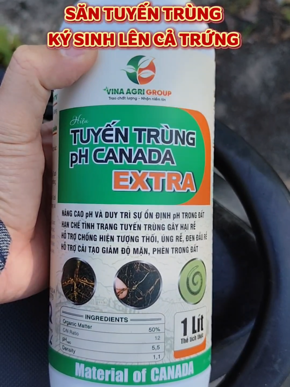 Sản phẩm xử lý tuyến trùng rễ, vàng lá trên mọi cây trồng #maivang94 #maivang #tuyentrungphcanada #tuyentrungre #tuyentrungph 