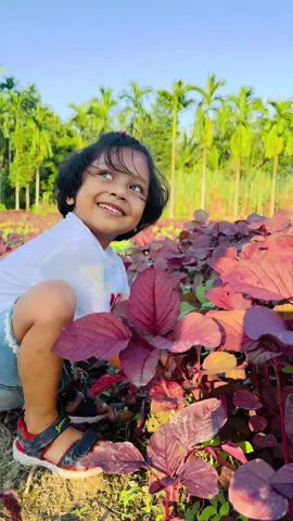 #creatorsearchinsights #drama 