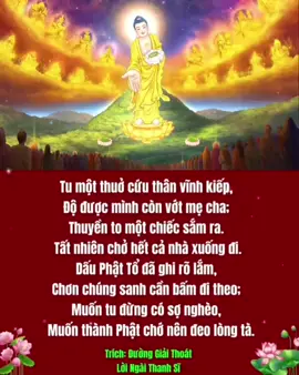 🍁lướt ngang XIN NIỆM NAM MÔ A DI ĐÀ PHẬT🍂#buusonkyhuong #nammobonsuthichcamauniphat #duchuynhgiaochu #phatgiaohoahao🙏 #xuhuong 