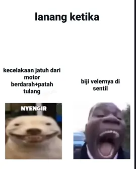 langsung ngfreze ☠️🗿🥰 #lanang #jatuh #darimotor #biji #sentil 