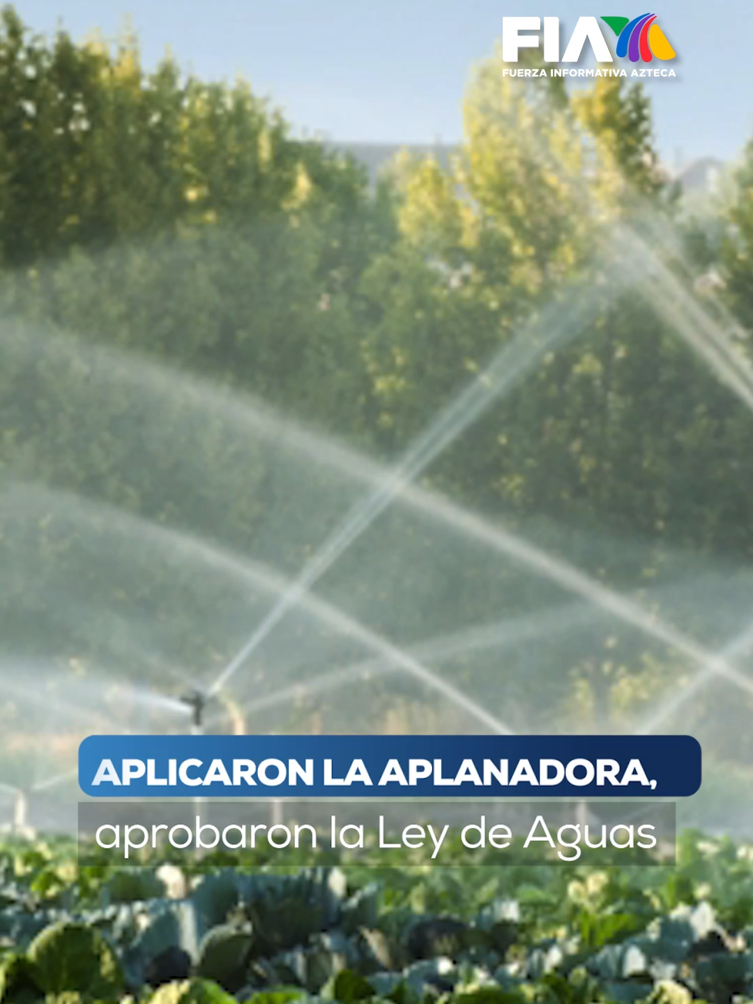 Nuevo golpe legislativo de Morena El Senado aprueba al vapor la reforma a la Ley de Aguas, pese a reclamos de la oposición que advierte control político y un duro golpe al campo. Con Guardia Nacional en las calles y sin conocer el documento completo, la mayoría morenista impone su ley rumbo al Zócalo. Para #Hechos, @irvingpinedar con el reporte con Javier Alatorre. #AztecaNoticias #FIA #Noticias #News #Tendencia #viraltiktok #Morena