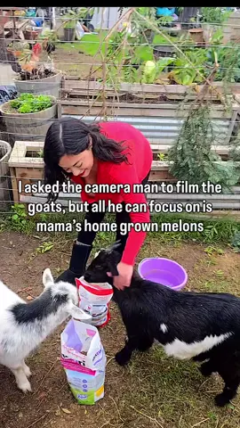 😂😂 would you do the same?