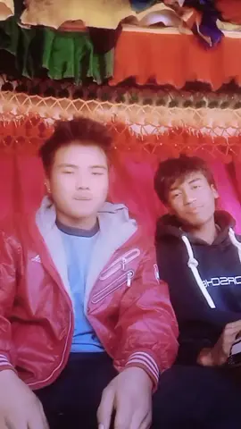 #chitwan_muser #driverlife😔vedio #goviral #fypシ 