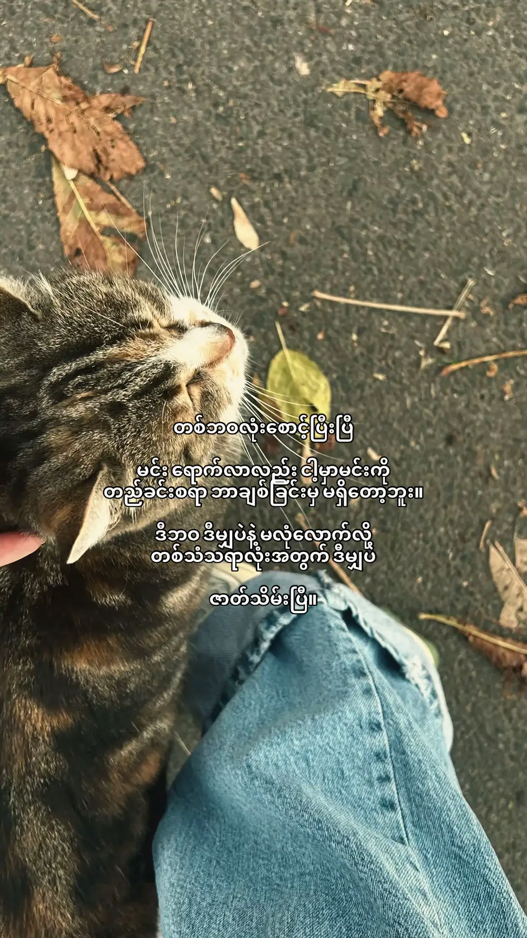 #lyrics #xyzbca #lyric #vairal #ibcrd 