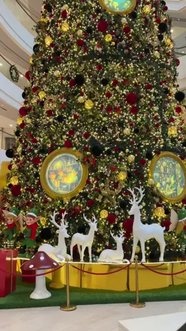 2025ට🎄🌝#fypシ #colombo #onegalleface #christmas #srilanka 