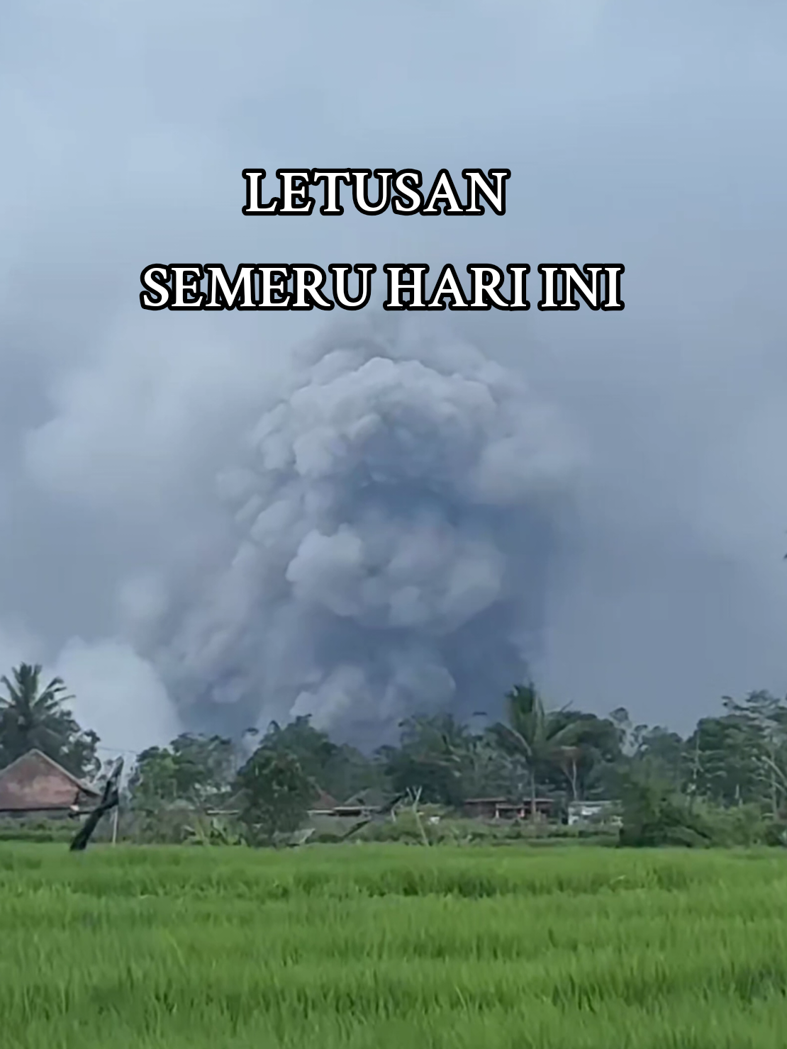 baru saja terjadi letusan skunder siang ini hari jumat #gunungsemeru #semeru #fyp #viral #trending 