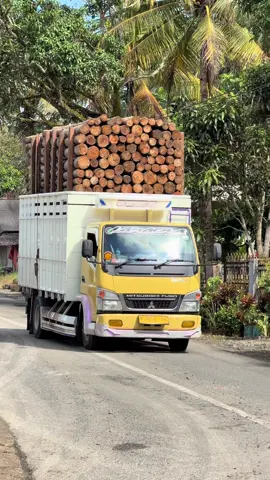#mdwoodfactory #kurirsengon #trukoleng #sengon #rotary 