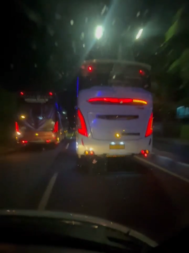 Elisabeth On Duty✈️🔥 #buslitha #celebesbislovers #bismania #bismaniacommunity #fypシ 