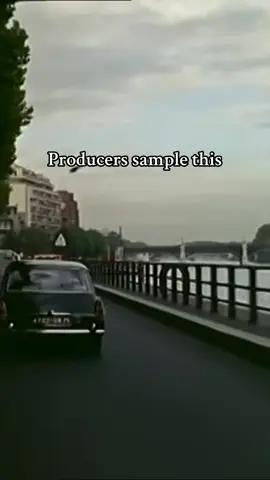 Producers sample this from REBIRTH by Yung Nickz  #producers #samplethis #producertok 