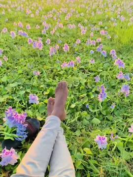 আমার তো মনই নাই 😊❤️‍🩹#rs_raju#foryou #foryoupage #fyp #viral 