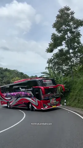 Artis dari mana nih??