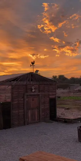 #CapCut #جمعه_مباركه #صباح_الخير #مزرعه #شروق_الشمس 