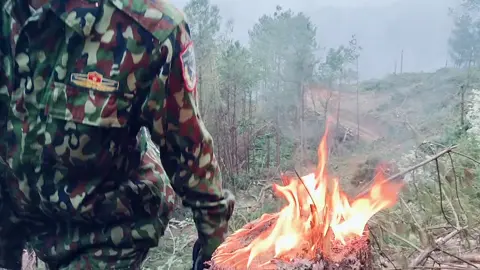 cưa đến gốc cây bốc cháy 😅