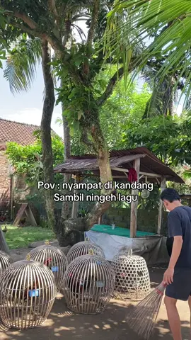 Nyagggg #CapCut #fypage #fyp #fyppppppppppppppppppppppp 