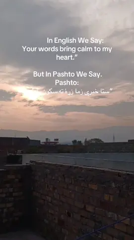 😭🤌🏻✨🌸 #pashto #fyp #Love #relation #pashtoline 