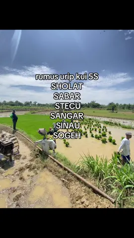 #petaniindonesia🇮🇩🇮🇩🇮🇩🌿🌿 #tlaktor #petanimuda #fyp #masukberanda 