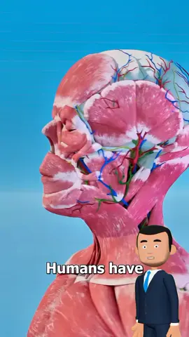 Do you know this?  #zackdfilm #foryou #LearnOnTikTok #DidYouKnow #facts 