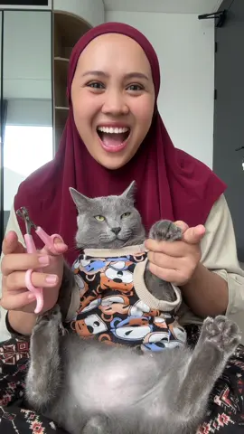 Ini video 7 mai lo… cuma ga aku up karena suara asli itu hilang.. kesel aku… kalau di hapus juga sayang ya.. up aja lah.. semoga kalian suka hihi 