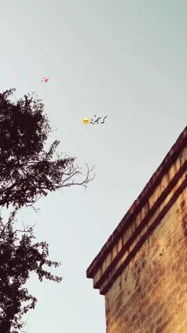 جتھےلوڑ پائی اوآز ماری مٹھیابھلا  میں کوئی تیرے توں دور ہاں۔🥹🍁❤️‍🩹 #foryou #aesthetic #foryourpage #poetry #1millionaudition 