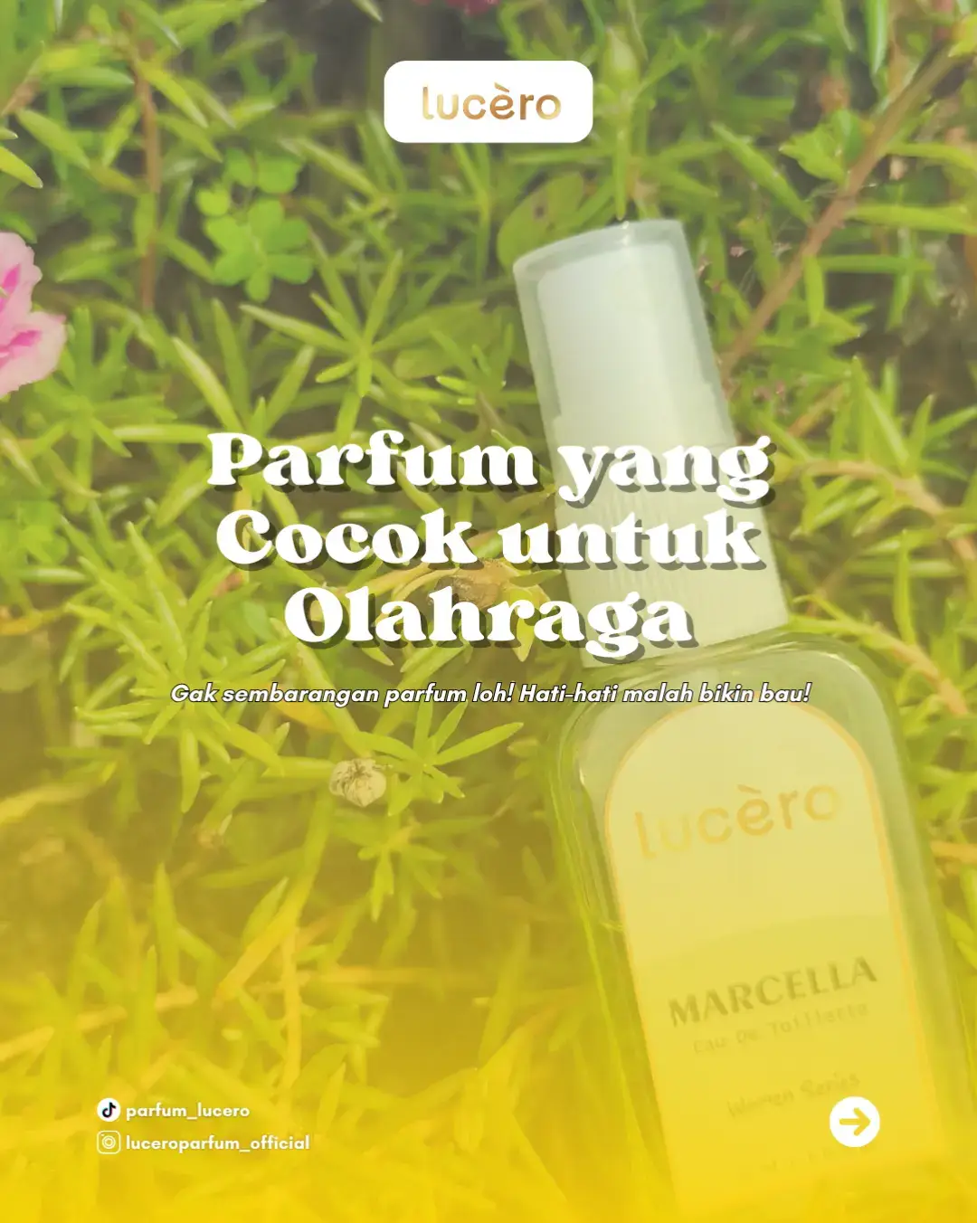 Sembarang parfum emang bisa sih tapi yakin bisa nutupin bau keringatnya? gak semua yaa 🙂‍↔️☝🏻 Pilih parfum sembarangan bukannya nutupin malah bikin combo maut buat bikin bau 1 kelas 😩 Nah biar gak salah pilih, aku rekomendasikan parfum cewe varian Marcella yang harganya cuma Rp4.999 💸 SPESIALNYA‼️kalo kamu beli 1 nanti get 5 FREE pouch juga 👀🫵🏻 Buruan checkout sekarang di keranjang kuning kitaaa 😆💸 #parfumviral #parfum #luceroparfum #viral #fyp 