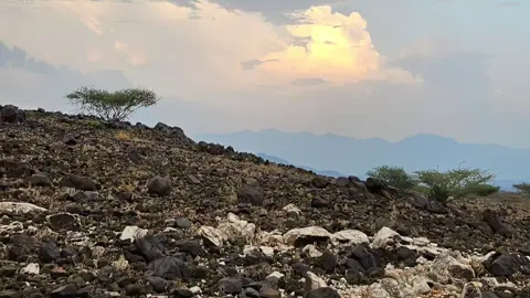 صلوا على النبي صلى الله عليه وسلم 🌷🤍#صلوا_على_رسول_الله #جمع