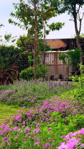 Yan Bi dạo này…!                                      #Y#Yan_Bi_Coffeec#cơm_đồng_bàoq#quán_Cà_Phê_đẹp_Buôn_Ma_ThuộtY#Yan_Bi_MNga