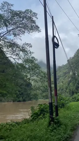 Suruik ba baliak ka BUNGO MALAM