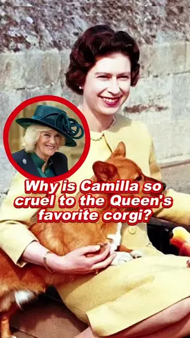 Why is Camilla so cruel to the Queen's favorite corgi? #camilla #royal #queen #usa 