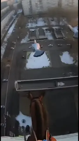 подъезд из кошмара #horrotok #adrenaline #dream #parkourpov #recomendation