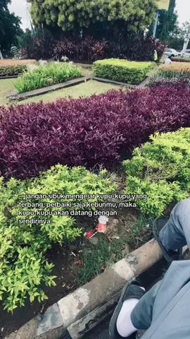 E-book: Untukmu yang sedang jatuh cinta untuk kamu yang mencintai diam-diam dan ingin dipahami tanpa banyak kata. . . . #fyp #kata #sad #quotes #galau