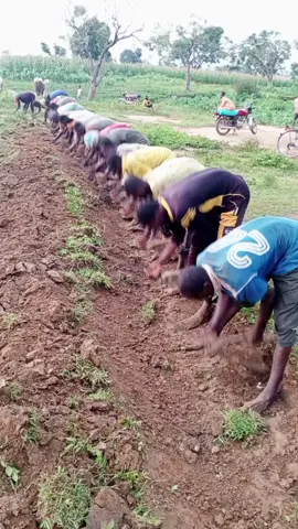 bayinwani qatoba #hamisubrekadorayi #nidake #copcup #ubrekadorayi #baddoo #Autaaboki #copcu #yagamen1 #mun #yag #viralvideo #amen1 #yaga #garba #Aliyunurudeen #gausisamazagudu #viral #momeegwambe #hamis 