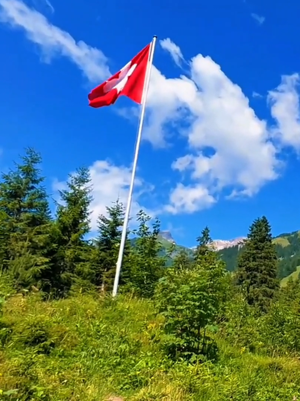 الحدود بين سويسرا 🇨🇭 و فرنسا 🇫🇷 #🇧🇪🇩🇪🇨🇭 #فرنسا🇨🇵_بلجيكا🇧🇪_المانيا🇩🇪_اسبانيا🇪🇸 #Naturelovers 