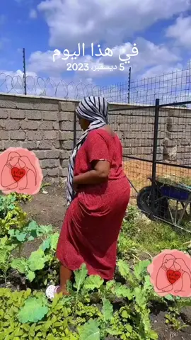 #في هذا اليوم