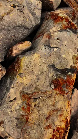 Satu pesan’mu hari ini >>