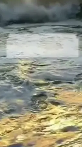 ‌ إِنَّ ‌اللَّهَ ‌وَمَلَائِكَتَهُ ‌يُصلُّونَ ‌عَلَى ‌النَّبِيِّ ‌يَا‌ أَيُّهَا ‌الَّذينَ ‌آمَنُوا ‌صَلُّوا ‌عَلَيْهِ ‌وَسَلِّمُوا ‌تسلِيماً‌ #rast #fyp #foryou #viralvideos #هەولێر_سلێمانی_دەهۆک_ڕانیه_کەرکوک 