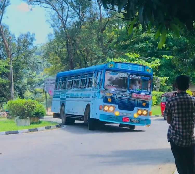 ඒ නැමිල්ල 🥵 මේ දවස් ටිකේ 22න් කොළඹ යන දිගාමඩුල්ලේ සන්නාමය 😎💙 #dilanka_express  කල්මුණේ -21- කොළඹ 