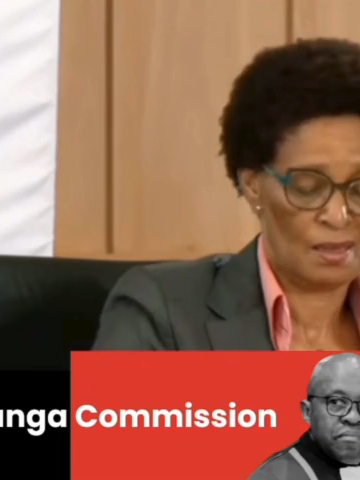 Minister Senzo Mchunu testified that he 