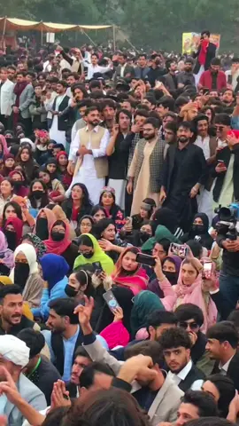 پختون ،امن، سندرہ🍂#fyp #punjabuniversity #billionviews 