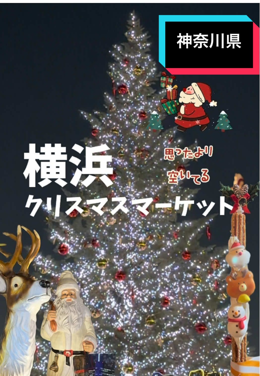 赤レンガ倉庫のクリスマスマーケットってもっと激混みかと思ってた！いった時間帯？それとも、これからどんどん混む？ #赤レンガ倉庫クリスマスマーケット  #クリスマスマーケット #横浜クリスマス #クリスマスデート #ChristmasIllumination