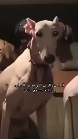 ويكون ابوي يسولف وفجأه يصير معصب وساكت #fyp#explore 