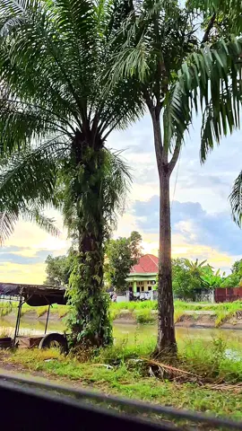 #jalanbelitang #belitangokutimur #belitang 