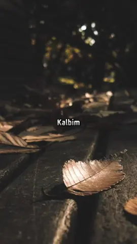 Bekleyen kalp  #kuzgunlyrics 