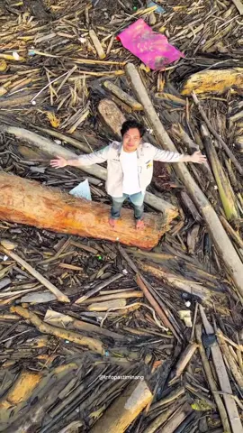 Seminggu setelah banjir masih banyak material banjir glondongan kayu yang terdampar di pantai padang, ukurannya mulai dari yang kecil sampai besar dan aneh nya kayu yang terdampar potongannya rapi.  🎥: instagram @andikarifky._ @kumbangputieh #sumaterabarat #banjirbandang #padang #taplaupadang #glondongan 