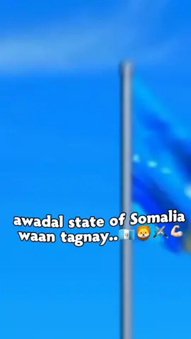 awdal state #CapCut #awdalstate💙🤍 #borama_awdal #fypシ゚viral🖤tiktok #foryoupage 