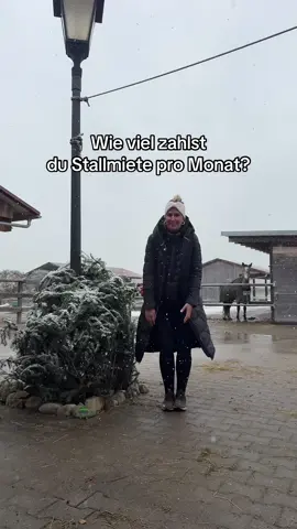 #stallmiete #offenstall #hitaktivstall #aktivstall #aktivstallleben 