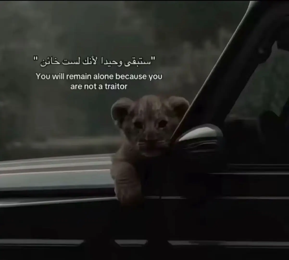 انه بطل #ببجي #مبايل #ترندات #ببجي #لايك 